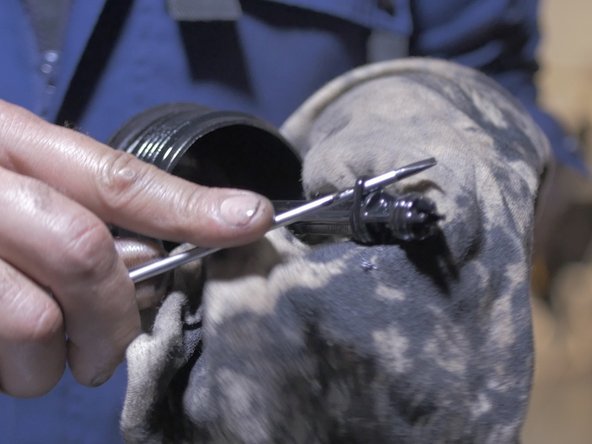 Retirer les trois joints de la cloche à l'aide d'un petit tournevis plat