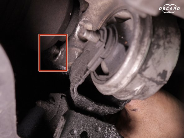 Libérer les brides en les faisant reculer puis pivoter à 180 degrés