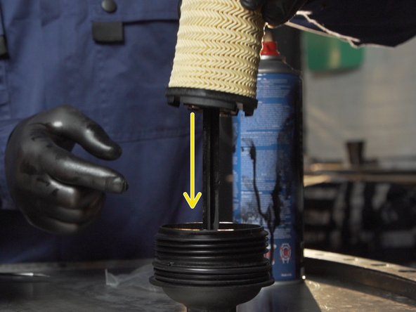 Installer le nouveau filtre dans sa cloche