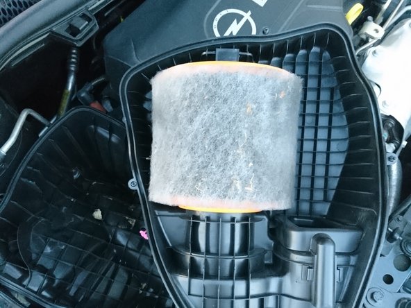 Démonter le filtre en appuyant fermement de chaque côté de la pièce puis pousser vers le haut pour déverrouiller le filtre.