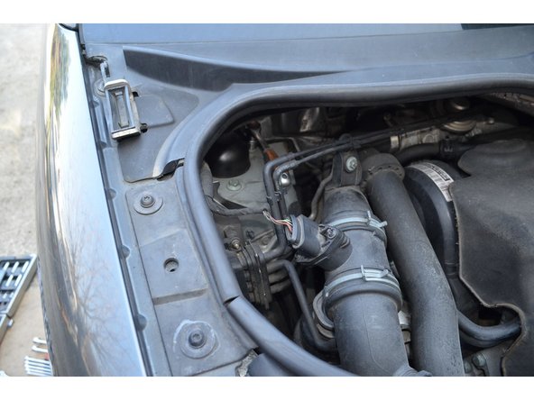 Sortez l'amortisseur.