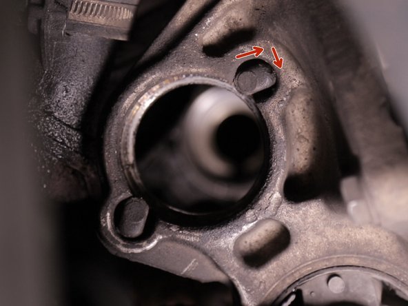 Libérer les brides en les faisant reculer puis pivoter à 180 degrés