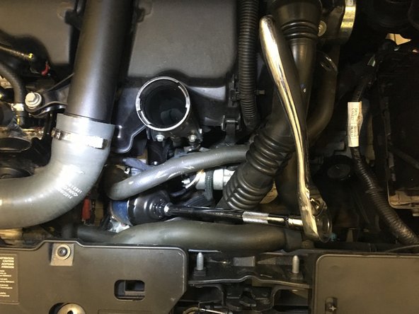 Desserrer légèrement le filtre à huile a l'aide du cliquet et de la cloche filtre à huile