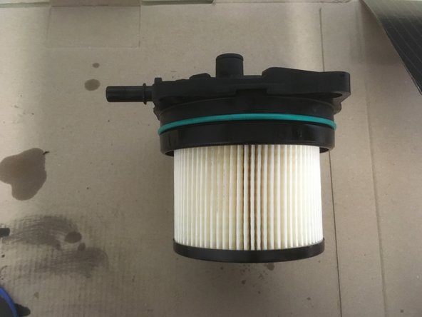 
Fit the new filter by clipping it in place
