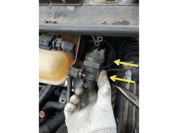 la présenter sur son support