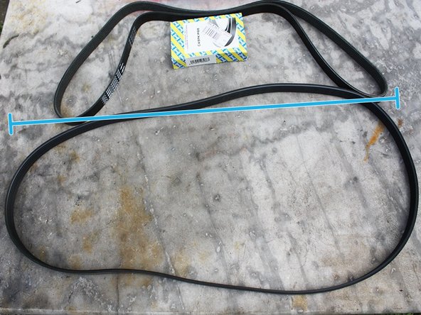 Vérifier aussi qu'elle comporte le même nombre de nervure.