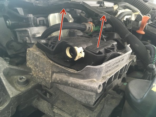 Retirer l'ancien filtre en le tirant vers le haut