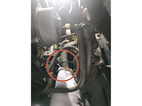 soulever légèrement la languette de la prise (on peut s'aider d'un tournevis plat)