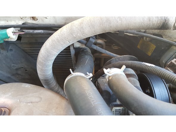 Avec pince multiprise faites glisser le collier de serrage puis retirez la durite du radiateur.