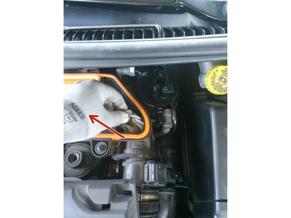 retirer le chiffon si vous en avez mis un