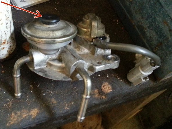 Voici le support de filtre démonté. la pompe d’amorçage (flèche rouge) pour la suite du tutoriel