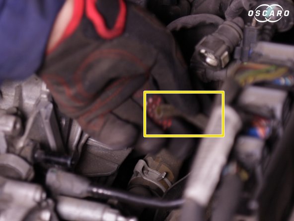 Insérer le tube de vidange sur le filtre à carburant