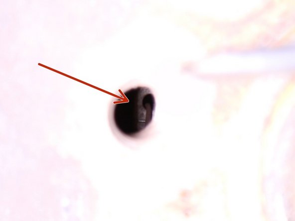 Présentez un des trou devant le levier du rattrapage automatique des mâchoires de frein, il est placer du côté gauche (environ à 10h00) pour la roue arrière gauche et à droite (environ à 2h00) pour la roue arrière droite, utilisez de la lumière pour y voir plus clair