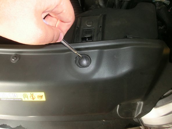 Enlever le téton en plastique en utilisant un tournevis plat. Pour cela soulever la partie vis puis tiré dessus.