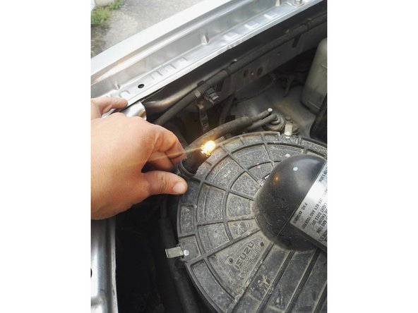 Pousser la nouvelle ampoule dans son logement