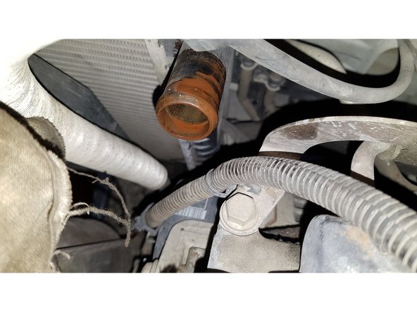 Retirez la durite en tirant dessus.