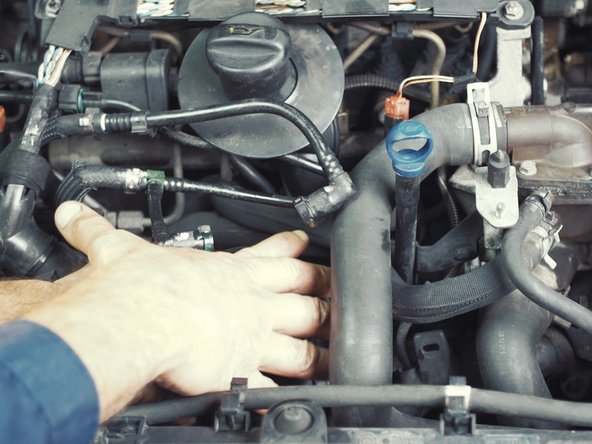 
Install the new gasket on the tank
