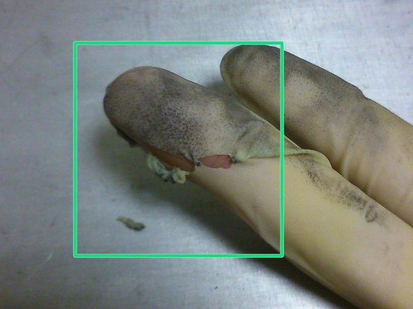 The gloves will also protect the user's fingers from damage in the event that the they accidentally come into contact with the rotating disk. (Seen in post-accident picture)