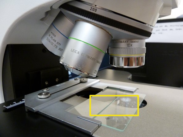 Place specimen on the glass plate as shown