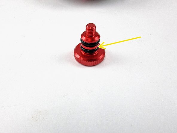 Install the second O-ring onto the plug