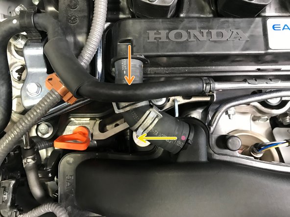 Pull the hose off the valve cover first