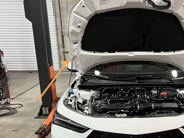 Pop open the hood and support with hood prop in fully up position