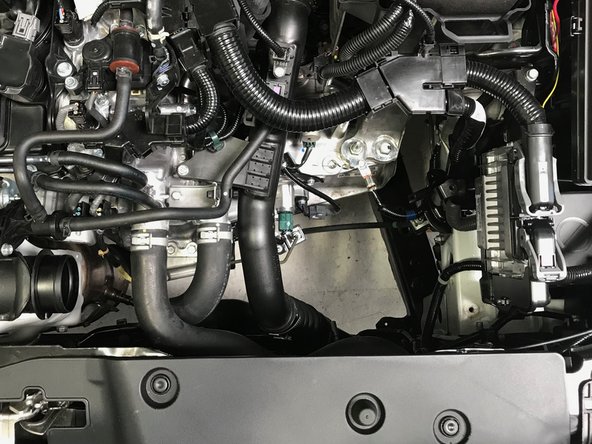 With the hose loose, remove the entire airbox from the engine bay