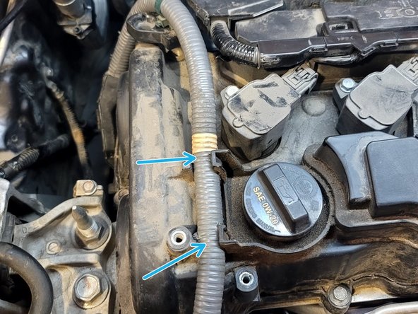 Use 10mm socket and ratchet to remove four (4) bolts securing engine cover
