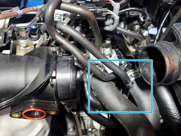 Pop both EVAP lines from clip