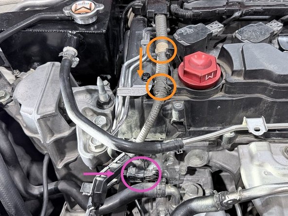 Use a 10mm socket and ratchet secure the (2) bolts shown