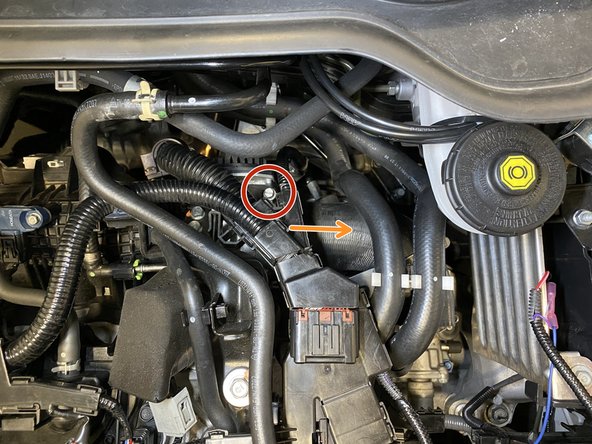 Loosen the band clamp with a flathead or 8mm socked and ratchet