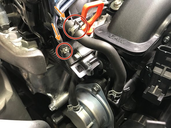 Use pliers to loosen the spring clamps.  Slide the spring clamps with red circles towards the center of the hose