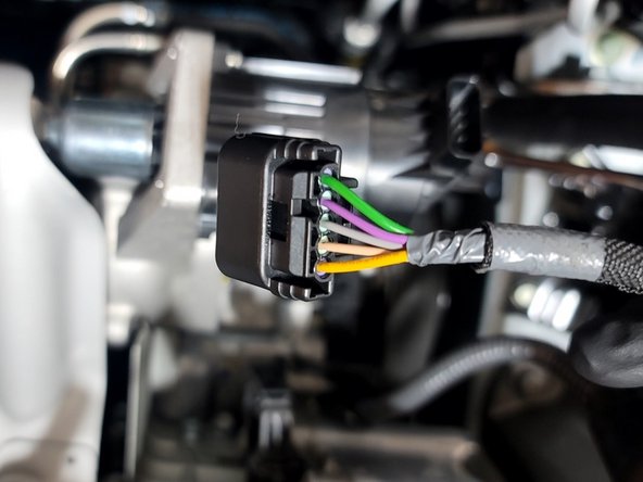 Remove plastic cover from plug