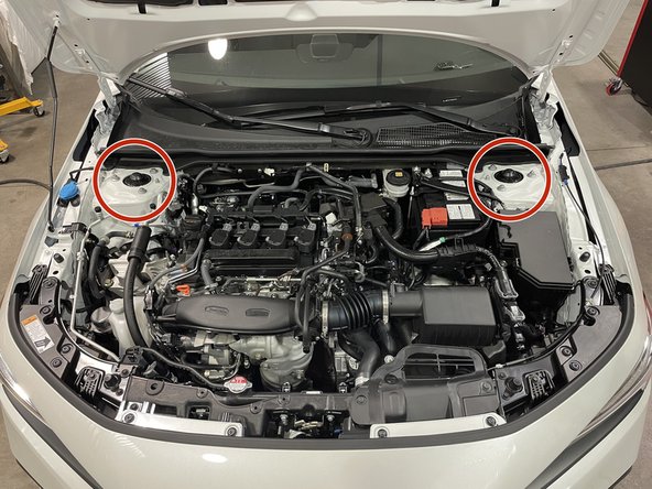 Locate the strut tower tops in the engine bay