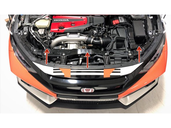 Remove the hood weather stripping and set it aside