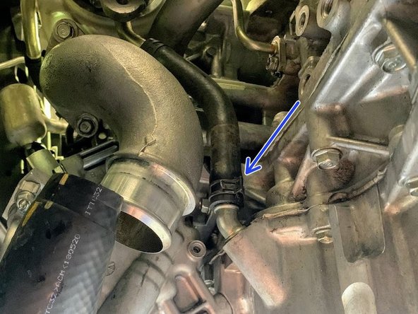 Undo the clamp from the hose as shown