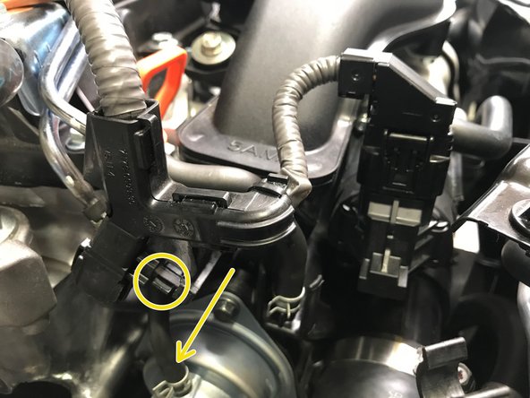 Locate the wiring loom