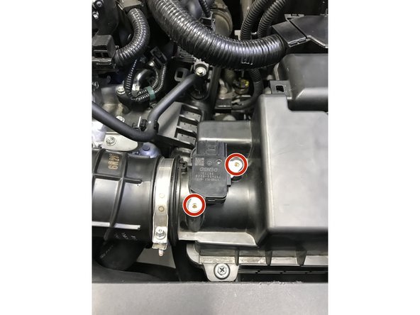 Use a small Phillips screwdriver to remove the two screws