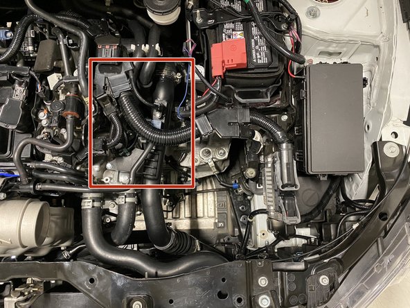 Locate area of the cold pipe highlighted