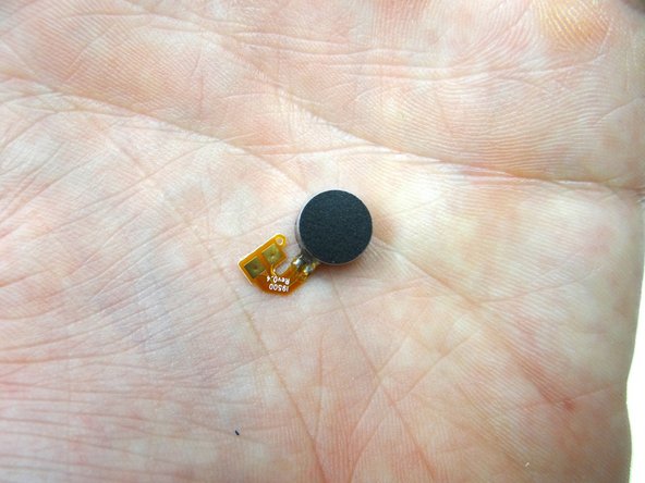 Once the vibrator is free from the adhesive, use the Black Spudger to gently pry up the vibrator ribbon contacts. Place the vibrator in COMPARTMENT G.