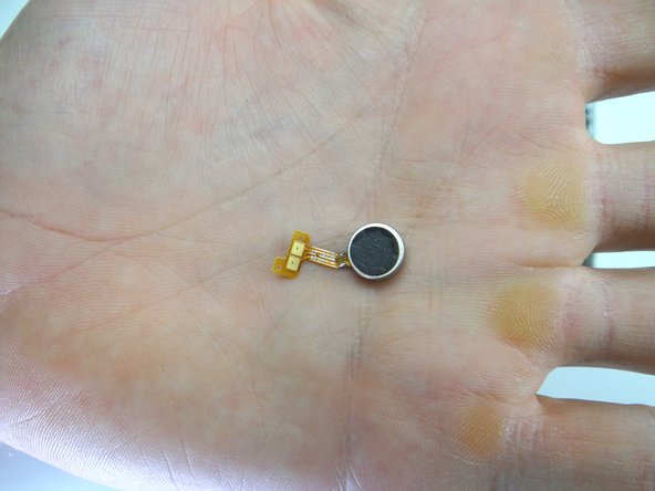 Seat vibrator from COMPARTMENT D: