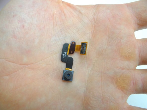 Place in COMPARTMENT B.