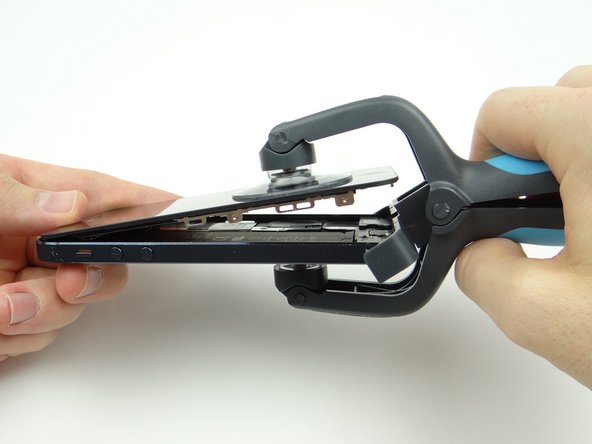 Note the placement of the top suction cup centered above the home button.