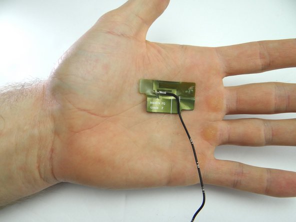 Continue peeling up antenna with your fingers.