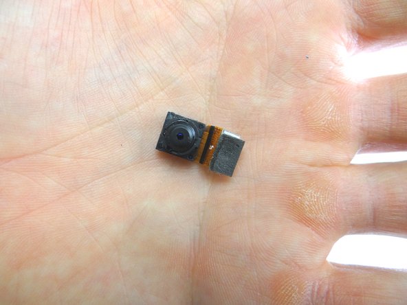 Remove rear camera from underside of logic board.  Place in COMPARTMENT B.