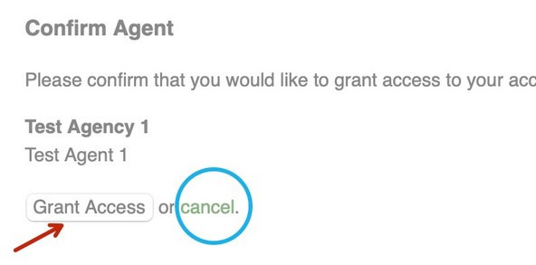 Confirm that this is your agent, the agent you wish to appoint, by clicking the 'Grant Access' button.