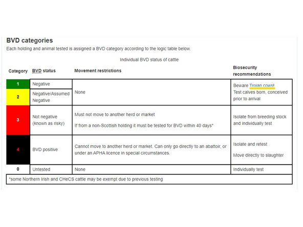 Two tables display information for the Individual BVD status of cattle and the Herd BVD status.