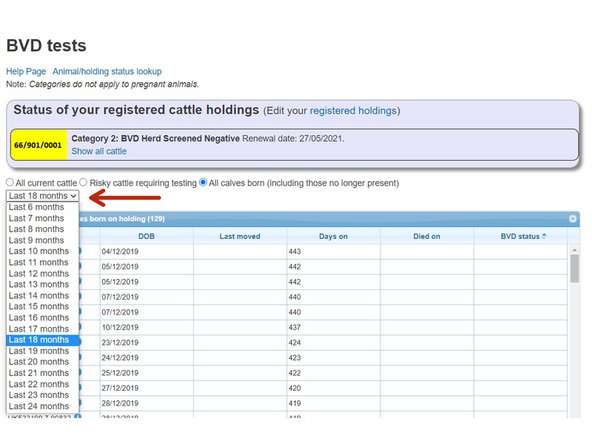 To view calves born on a holding click on All Calves Born. The red arrow highlights a drop down menu where you can select to show calves born over a number of months.