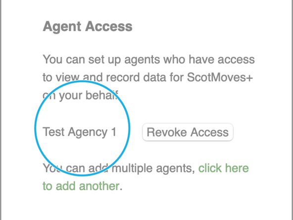 On the right under 'Agent Access', your agent is now present.