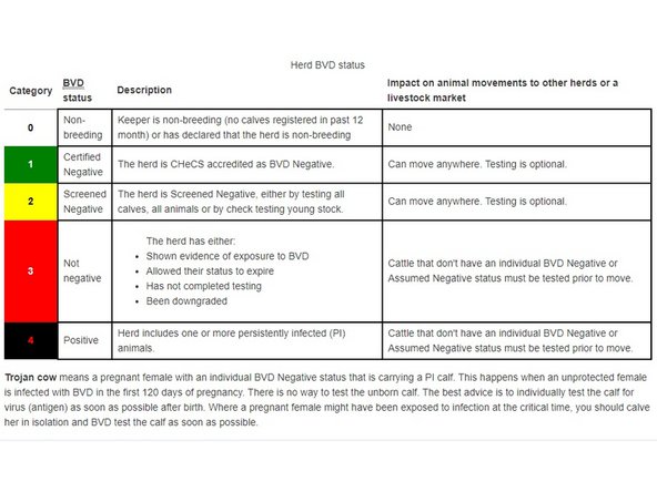 There is also a note about Trojan cow's at the bottom of the Herd BVD status table. In the Individual BVD status of cattle table, there is a blue link to take you to the Trojan Cow information, as underlined in yellow.